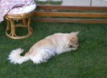 /album/fotogaleria/a5t67-jpg/