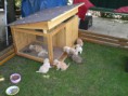 /album/fotogaleria/a5t78-jpg/