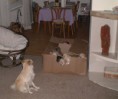 /album/fotogaleria/a6t87-jpg/