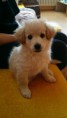 /album/buddy/buddy002-jpg1/