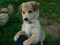/album/toby/pict1227-jpg/