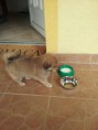 /album/toby/toby-02-jpg/
